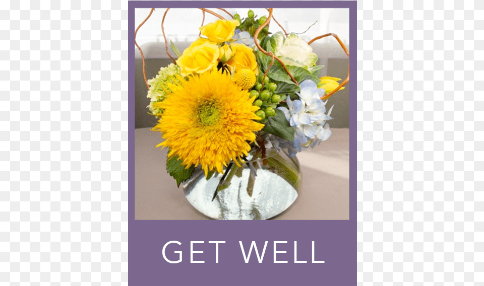 Get Well Flowers Bouquet, Art, Plant, Pattern, Graphics Png