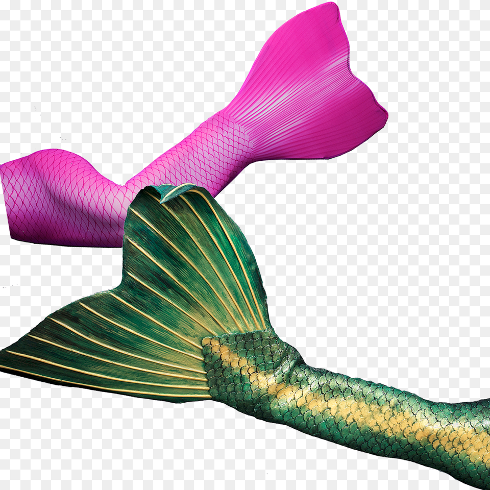 Get Your Professional Fabric Or Silicone Mermaid Tail, Accessories, Tie, Purple, Formal Wear Free Transparent Png