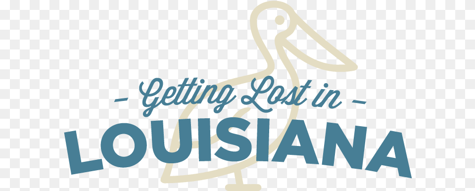 Getting Lost In Louisiana Green Lents, Animal, Bird, Waterfowl, Pelican Png