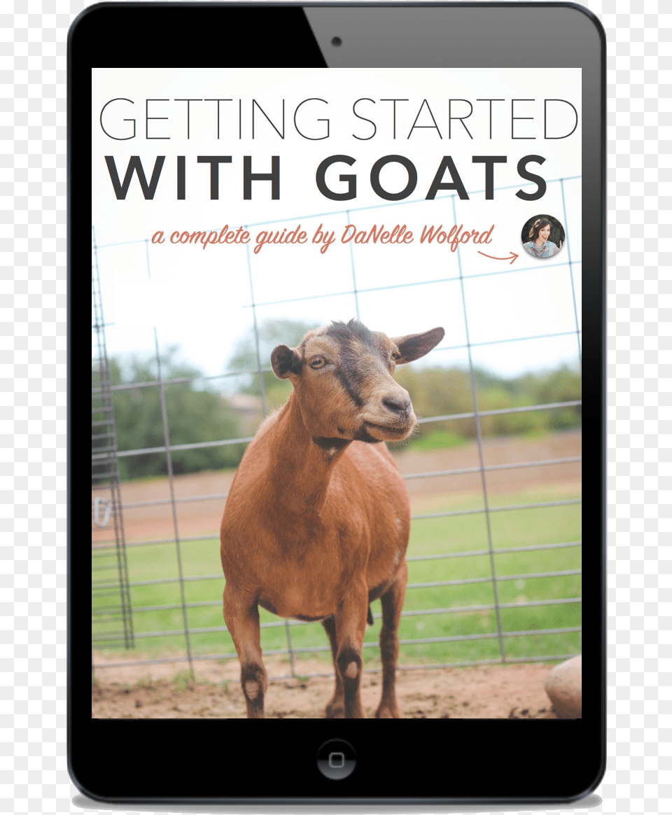 Getting Started Goats Ipad Goat, Livestock, Person, Animal, Mammal Png Image