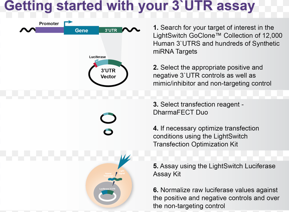Getting Started With Your Lightswitch 3utr Assay Animated Progress Bar, Page, Text Free Png Download