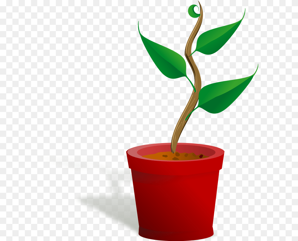 Getting To Know Plants, Leaf, Plant, Dynamite, Weapon Png