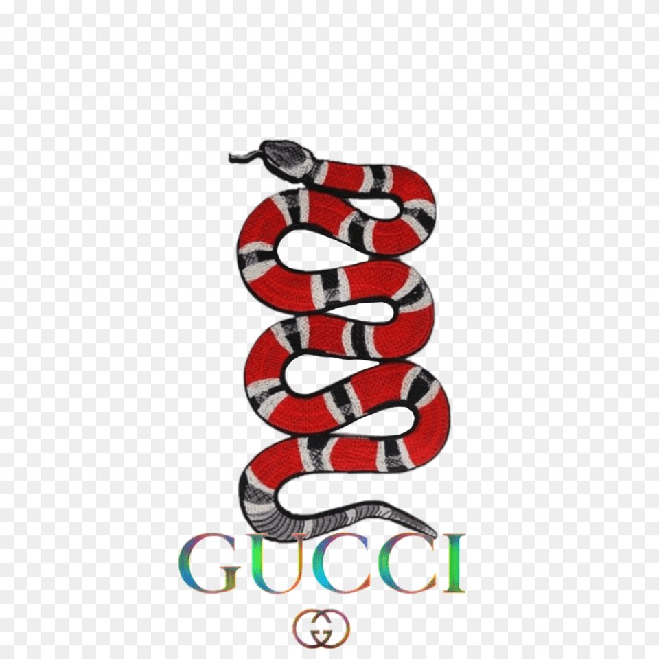 Gg Gucci, Animal, Reptile, Snake, King Snake Png Image