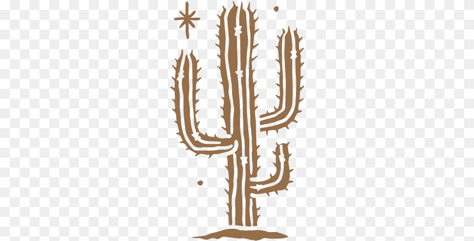 Gh Cactus Saguaro, Plant, Person Png