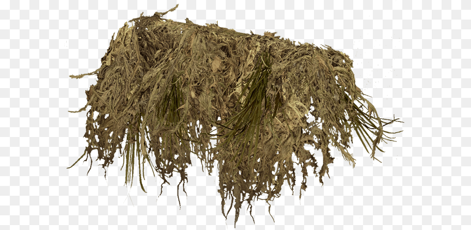 Ghilliegunwraptan Hay, Plant, Root, Moss Free Png Download