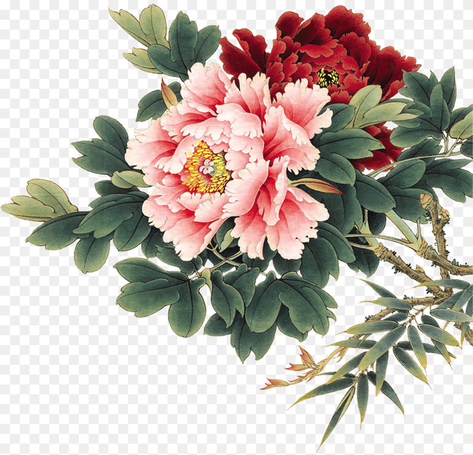 Ghim Ca Doris Yershova Trn Flowers In Peony Chinese Painting, Flower, Flower Arrangement, Flower Bouquet, Plant Free Png