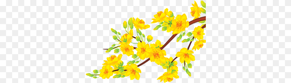 Ghim Ca Empty Trn Flowers Painting Trong 2020 Thc Vt Yellow Apricot Blossom, Flower, Plant, Daffodil, Petal Free Png Download