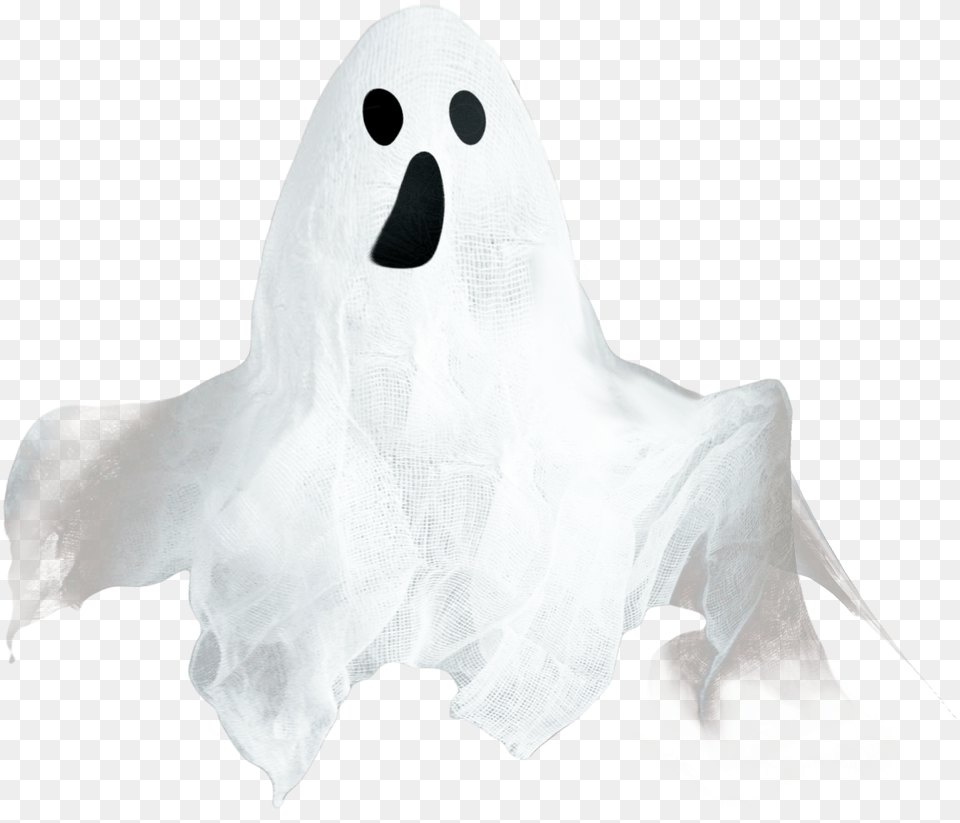 Ghost, Plastic, Animal, Bird, Bag Png