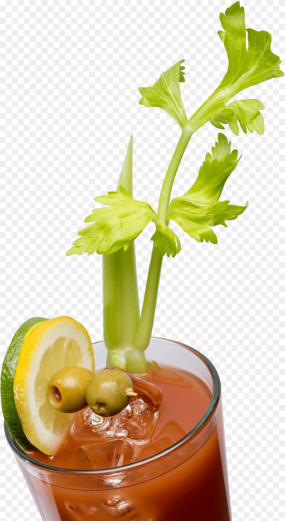 Ghost Bloody Maria Bloody Mary, Alcohol, Beverage, Cocktail, Plant Png