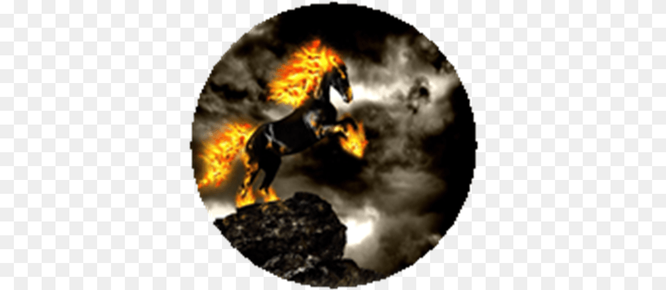 Ghost Rider Horse Roblox Fiery Hell Horse, Bonfire, Fire, Flame, Animal Png