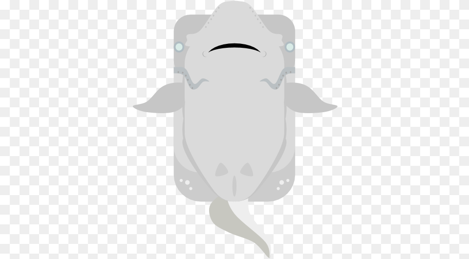 Ghost Shark Fish, Baby, Person, Animal, Mammal Free Transparent Png