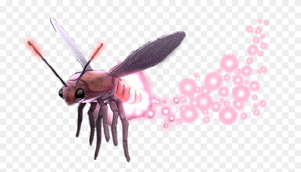 Ghost88grey Twitter Parasitism, Animal, Insect, Invertebrate Free Png