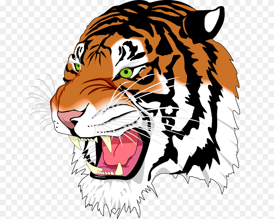 Ghostscript Tiger, Person, Animal, Mammal, Wildlife Free Transparent Png