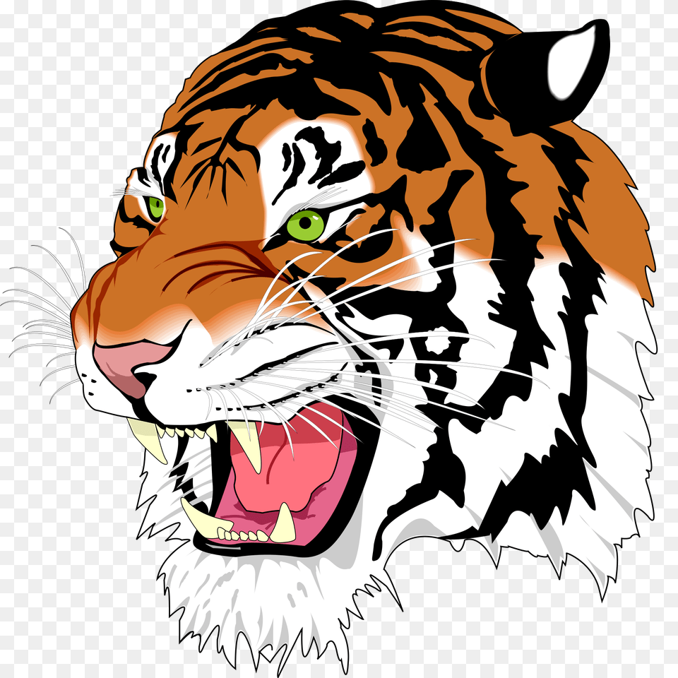 Ghostscript Tiger, Person, Animal, Mammal, Wildlife Png Image