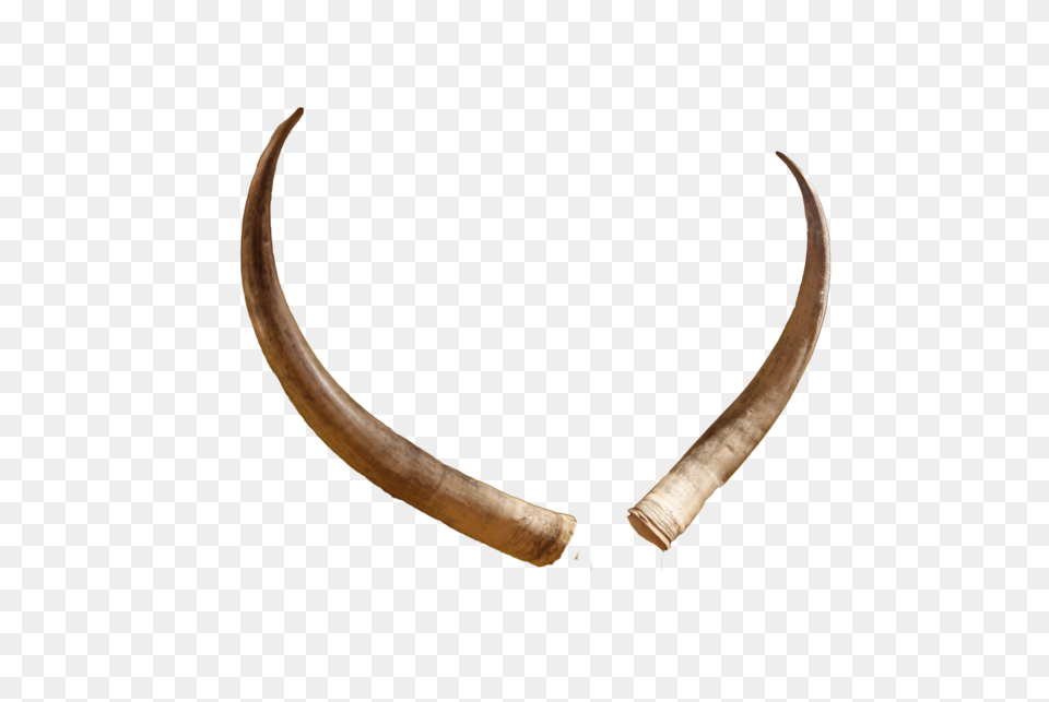 Giant Antlers Risunki Dlia Photoshopa Antlers, Antler, Bow, Weapon Png Image