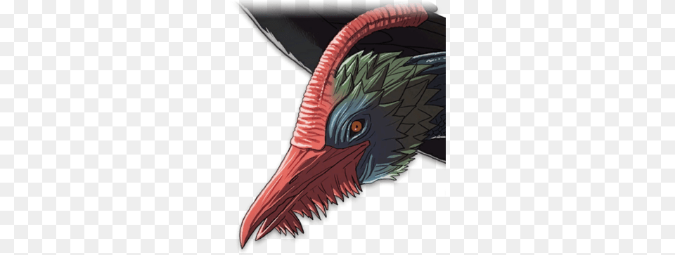 Giant Bird Fire Emblem Wiki Fandom Bird, Animal, Beak, Vulture, Fish Png