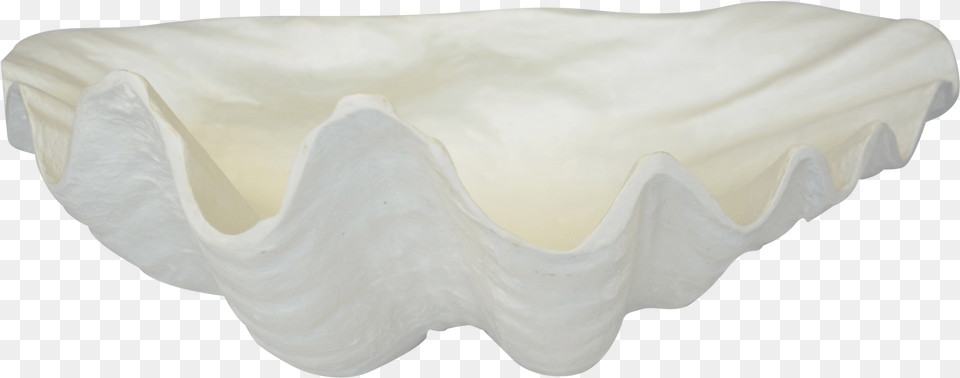 Giant Clam Art, Animal, Food, Invertebrate, Sea Life Png