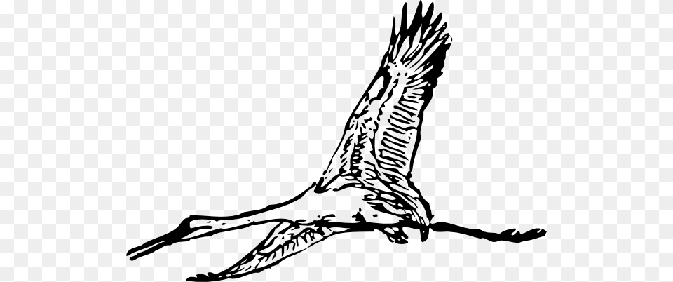 Giant Crane Clip Art Is, Animal, Bird, Flying, Waterfowl Png
