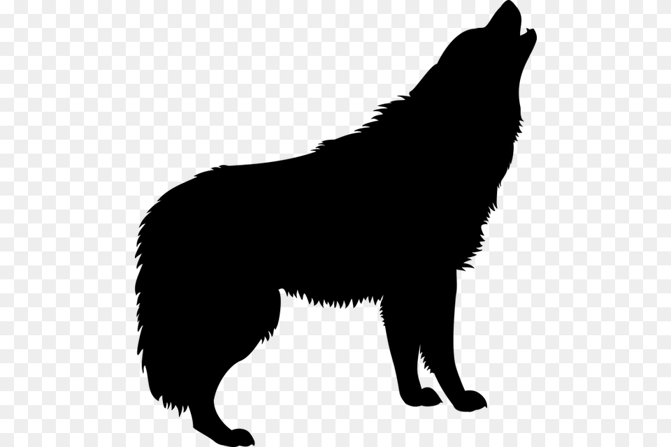 Giant Dire Wolf Attacking Dog Video From Resurfaces, Gray Png