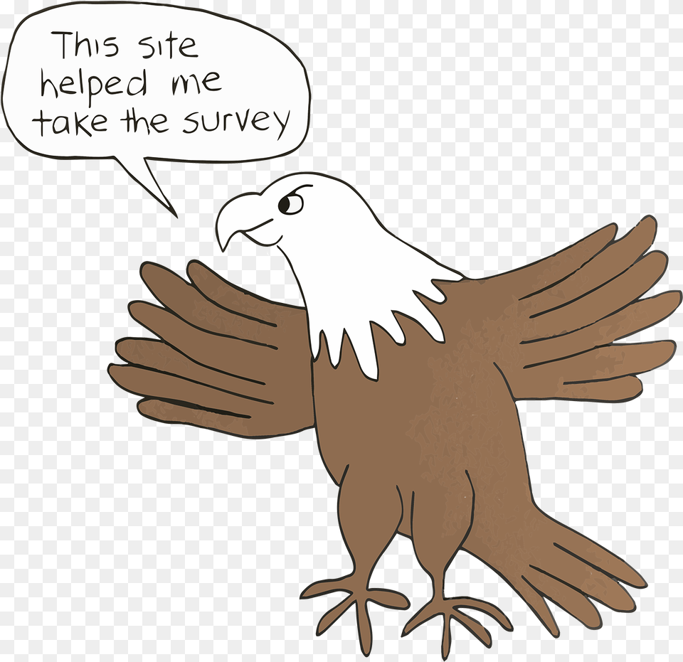 Giant Eagle Survey Bald Eagle, Animal, Bird, Person Free Png