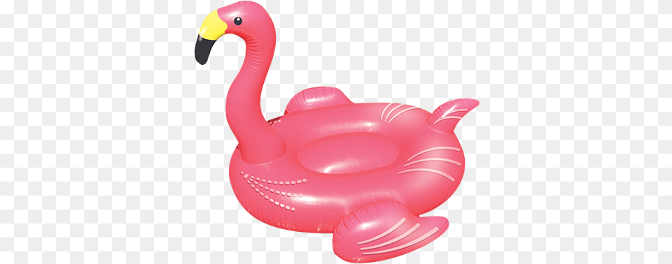 Giant Flamingo Float Flamingo Inflatable Floatie Giant Ride On Blow Up, Animal, Bird Free Transparent Png