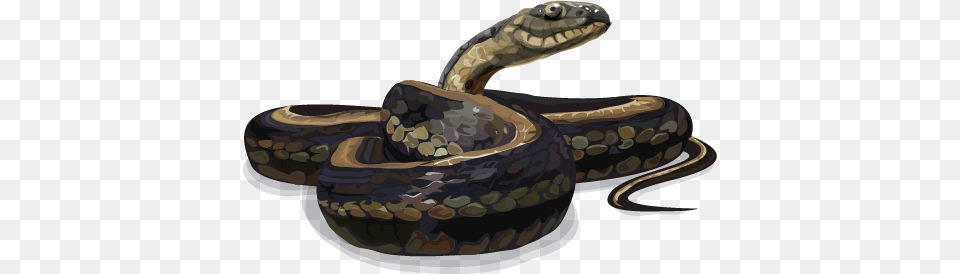 Giant Garter Snake, Animal, Reptile, Sport, Rugby Ball Free Png Download