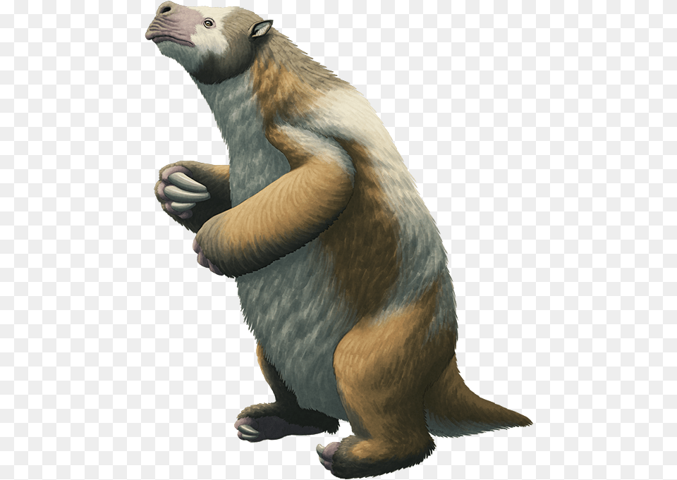 Giant Ground Sloth Megatherium Americanum Animal, Bird, Mammal, Wildlife, Anteater Png Image