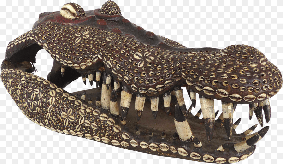 Giant Iatmul People Crocodile Skull From Middle Sepik Region Papua New Guinea American Crocodile Free Transparent Png
