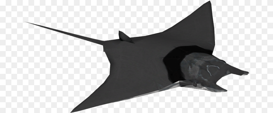 Giant Mobula Ray Freshwater Whipray, Animal, Sea Life, Fish, Manta Ray Free Png