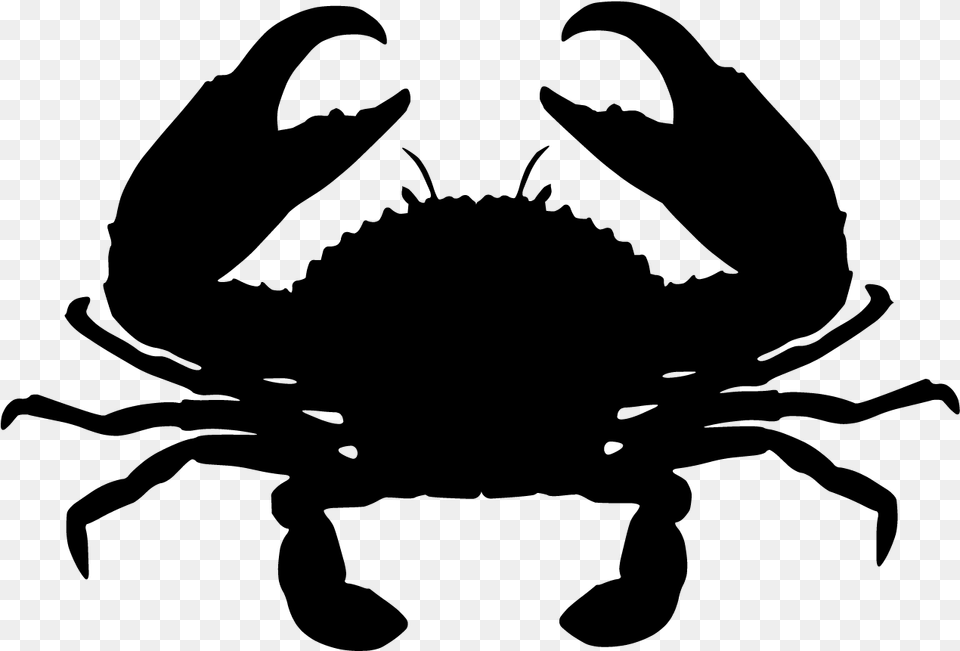 Giant Mud Crab Chesapeake Blue Crab Red King Crab Mud Crab Clipart, Gray Png Image