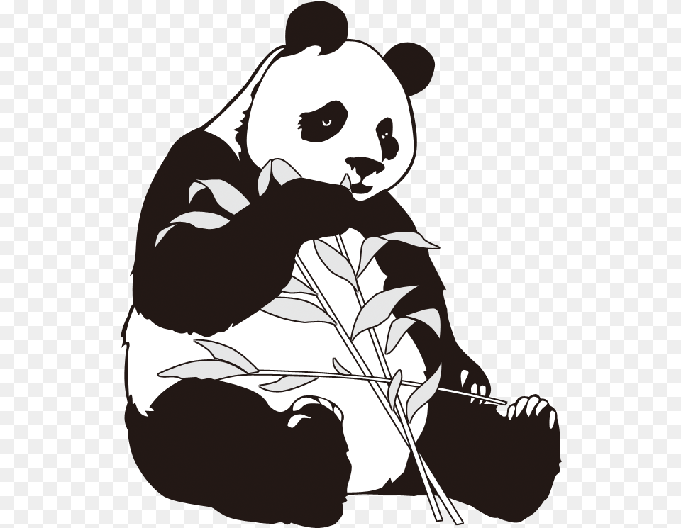 Giant Panda Bamboo Clip Art Giant Panda Cartoon, Stencil, Baby, Person, Animal Free Png