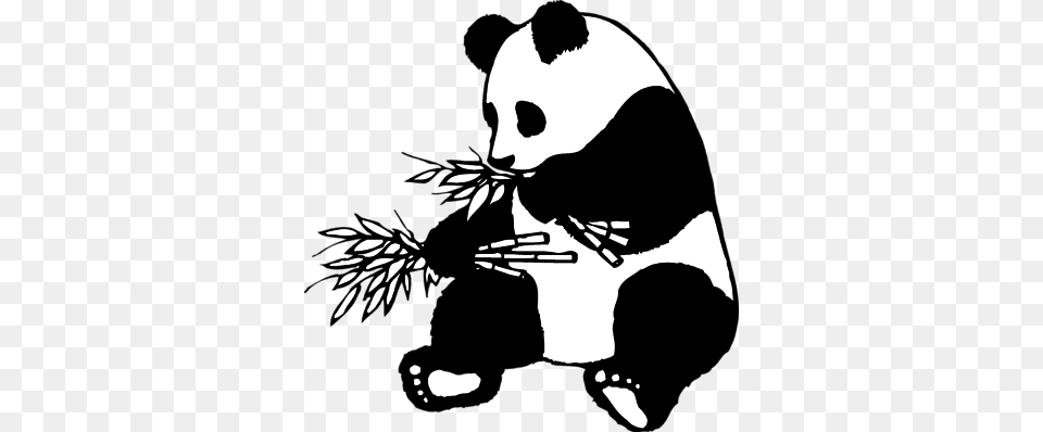 Giant Panda Clip Art Clipart Images Panda Clip Art, Stencil, Baby, Person Png