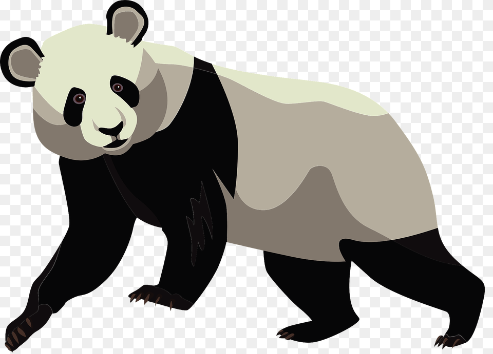 Giant Panda Clipart, Animal, Mammal, Wildlife, Bear Free Png