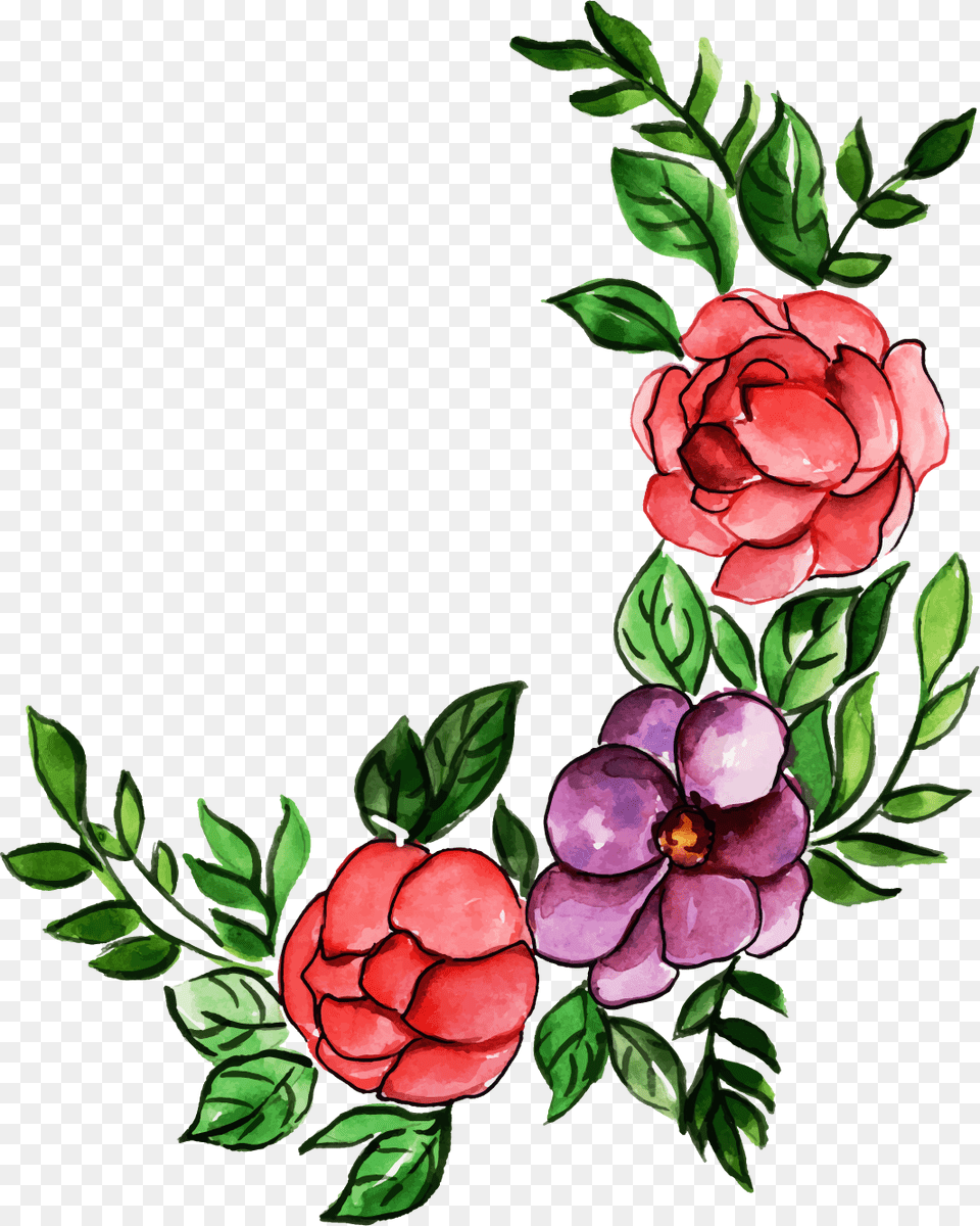 Giant Protea, Art, Floral Design, Graphics, Pattern Free Png Download