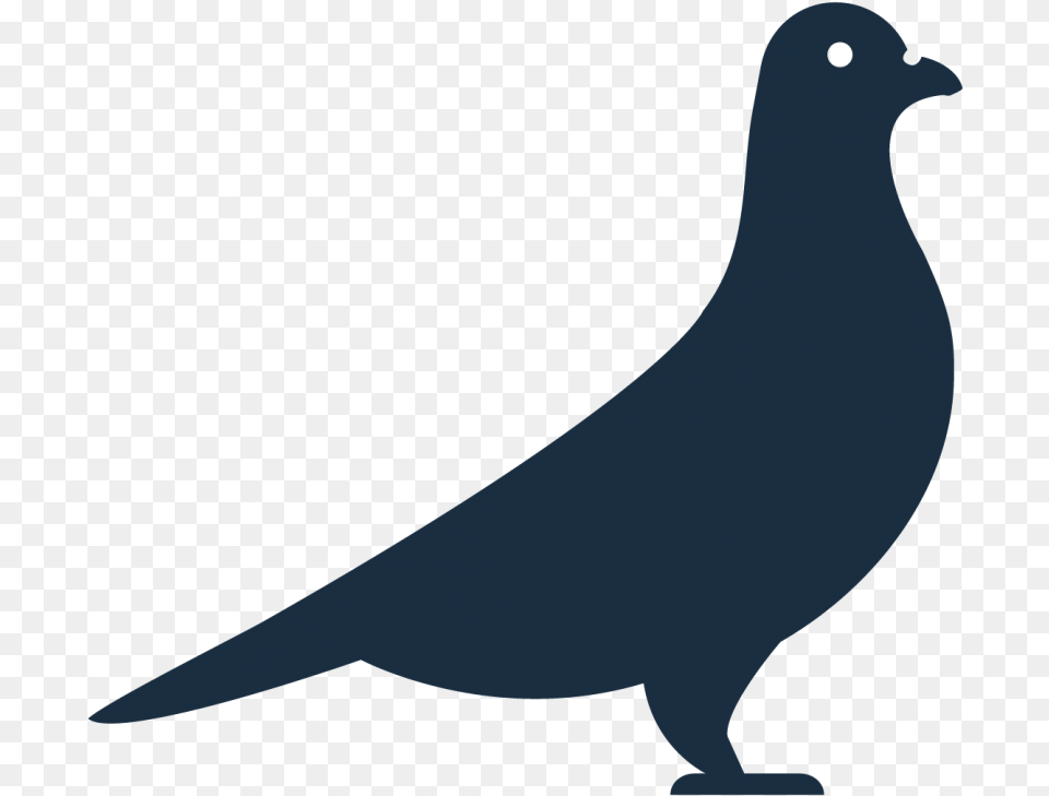 Giant Robot Damp Squib Crow, Animal, Bird, Pigeon, Dove Png