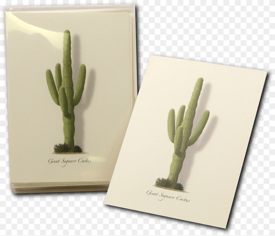 Giant Saguaro Boxed Notes Hedgehog Cactus, Plant Free Png Download