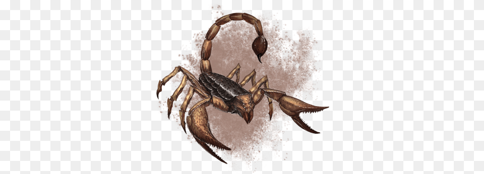 Giant Scorpion Jpeg, Animal, Invertebrate, Insect Png Image