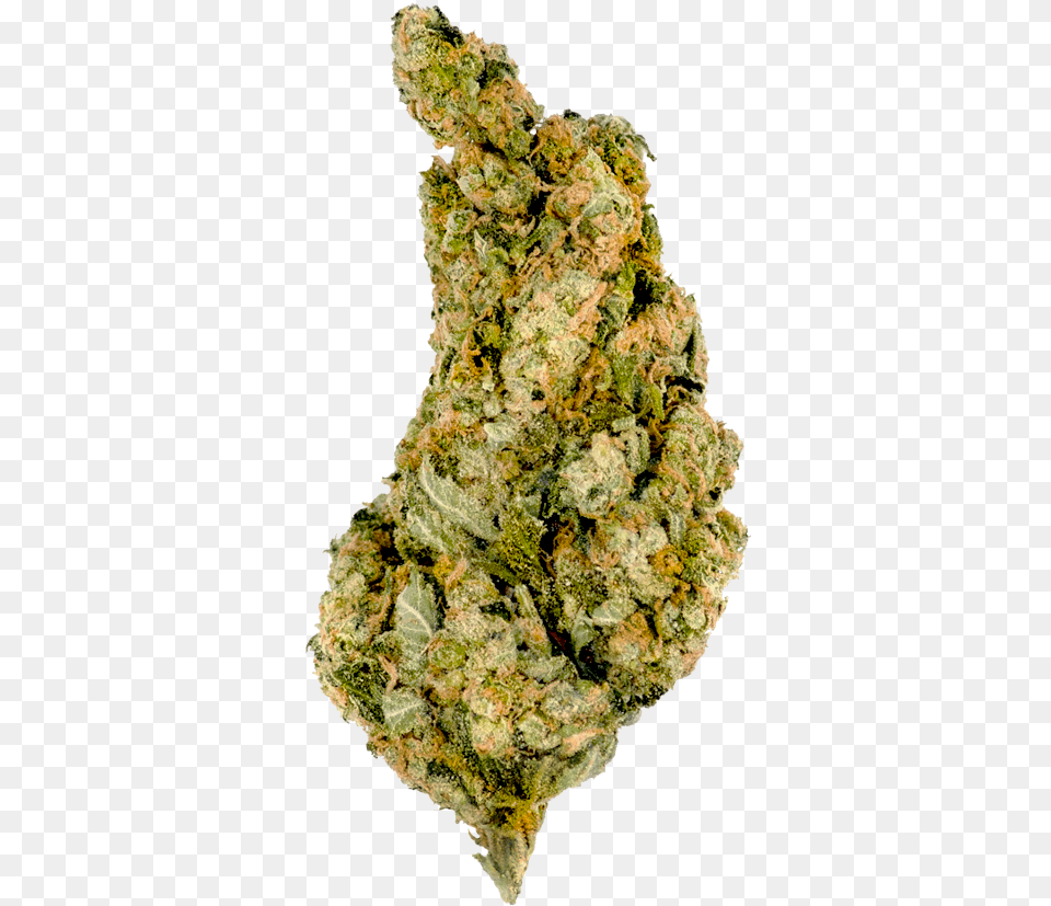 Giant Skittlez Bud Marijuana Giant Skittlez, Plant, Weed Png Image