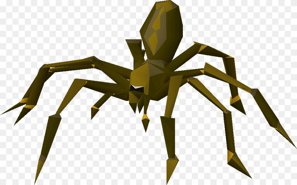 Giant Spider, Animal, Invertebrate, Garden Spider, Insect Png Image
