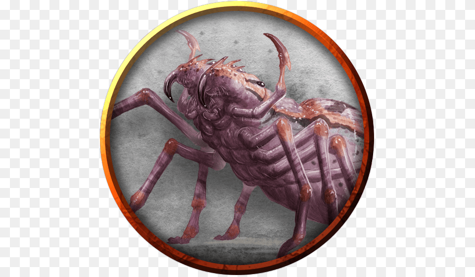 Giant Spider Monster, Animal Free Png