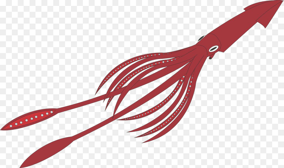 Giant Squid Background Giant Squid No Background, Food, Seafood, Sea Life, Animal Free Transparent Png