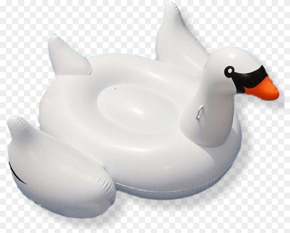 Giant Swan Inflatable Pool Float Swan Float, Animal, Bird, Penguin Png Image