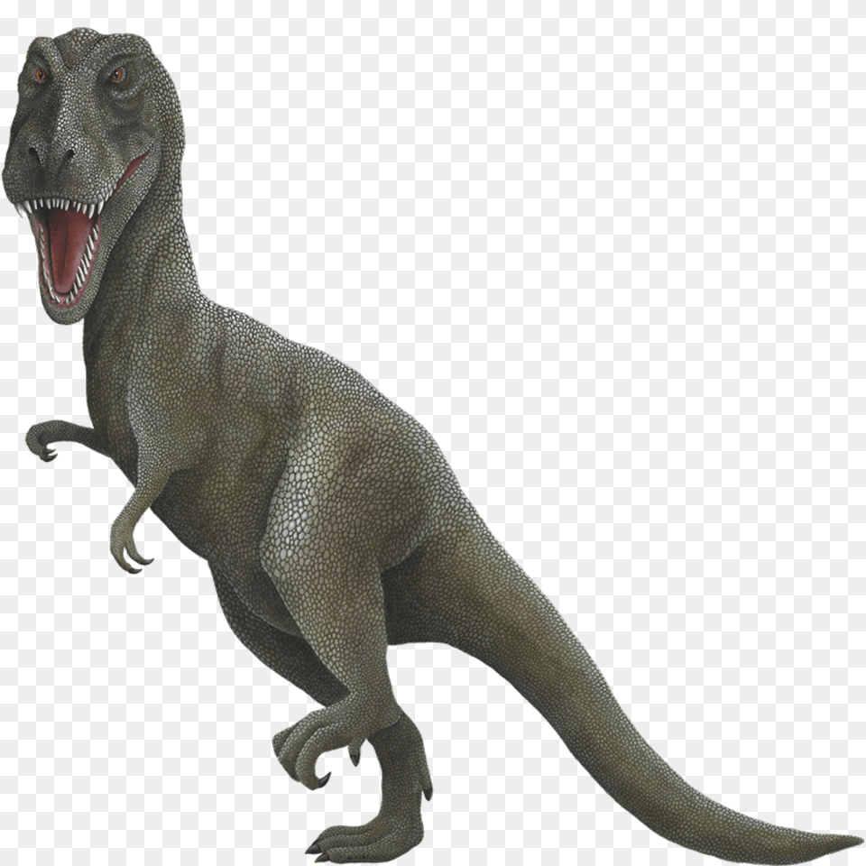 Giant T Rex Wall Sticker, Animal, Dinosaur, Reptile, T-rex Free Png Download
