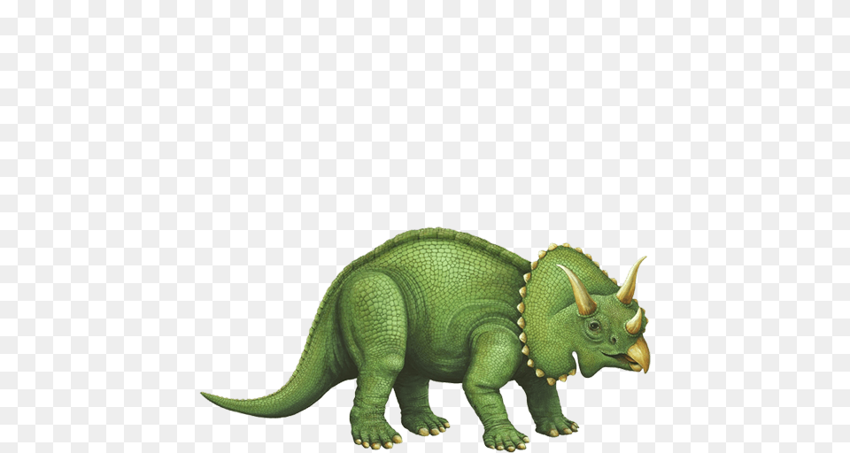 Giant Triceratops Wall Sticker, Animal, Dinosaur, Reptile, Green Png