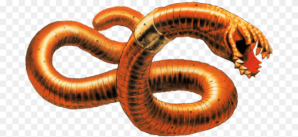 Giant Worm Parasite Eve, Animal, Insect, Invertebrate Free Transparent Png
