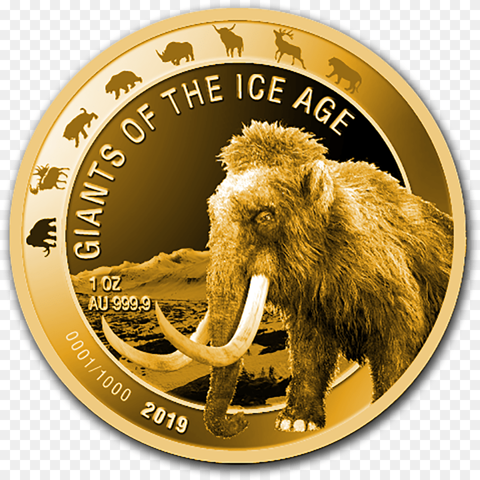 Giants Of The Ice Age Silber, Animal, Bear, Gold, Mammal Free Png