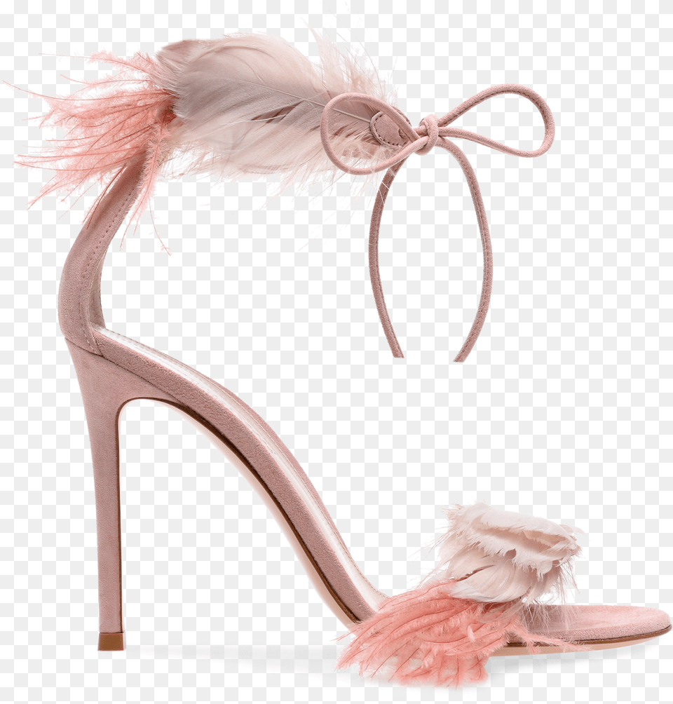 Gianvito Rossi Feather Heels, Clothing, Footwear, High Heel, Shoe Png