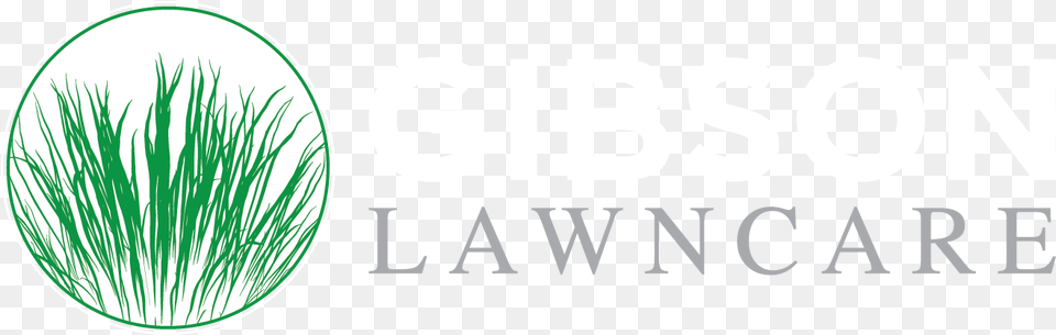 Gibson Lawncare Cerbone Law Firm, Grass, Plant, Vegetation, Potted Plant Free Png