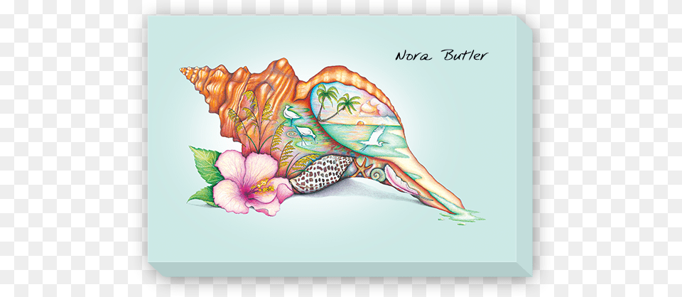 Giclees On Canvas So Many Beaches Paper Cocktail Napkins 15, Animal, Invertebrate, Sea Life, Seashell Free Png