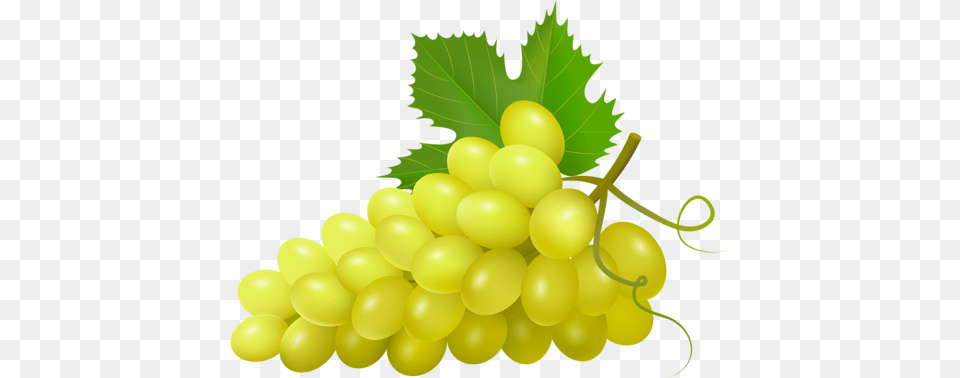Gif, Food, Fruit, Grapes, Plant Free Png Download
